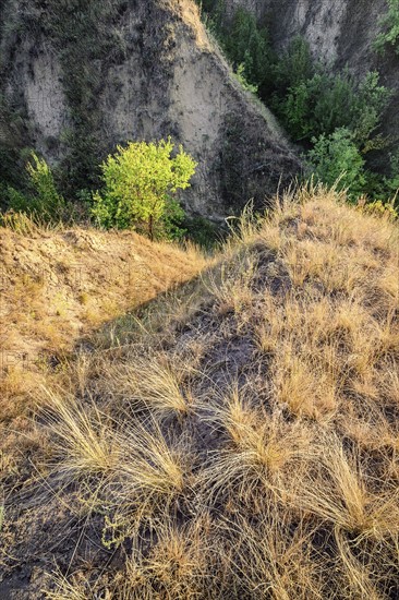 Ukraine, Dnepropetrovsk region, Novomoskovsk district, Landscape with ravine