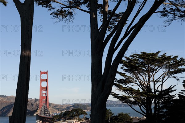 USA, California, San Francisco, Golden Gate Bridge seen among trees