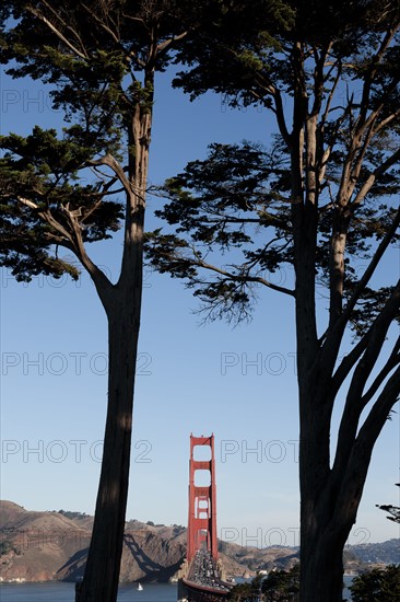 USA, California, San Francisco, Golden Gate Bridge seen among trees