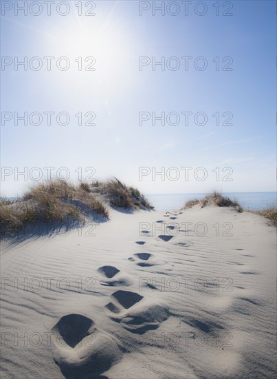 Footprints in sand