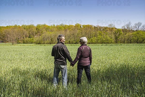 Mature couple holding hands in field