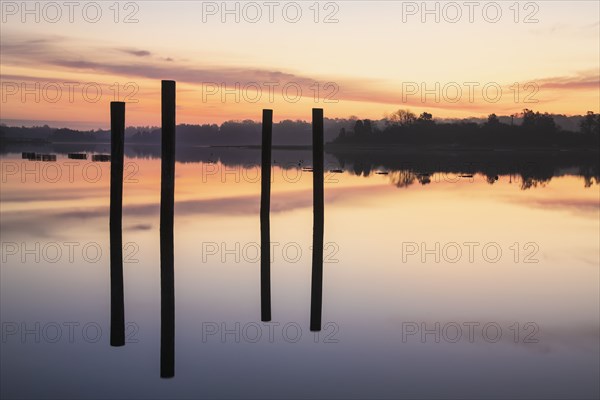 Posts in sea at sunrise