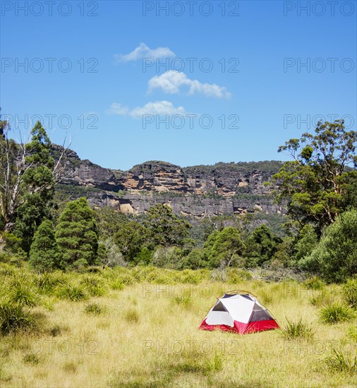 Tent in Blue Mounains