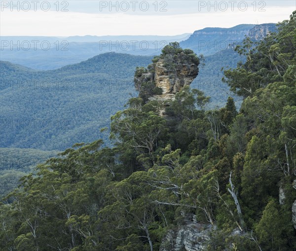 Rock in Blue Mountains National Park