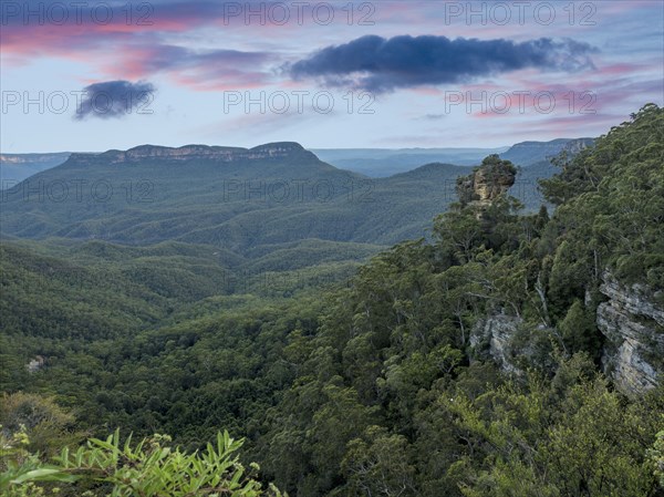 Rock in Blue Mountains National Park