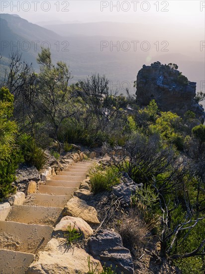 Staircase in Blue Mountains National Park