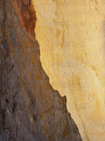 Rock formations in Blue Mountains National Park