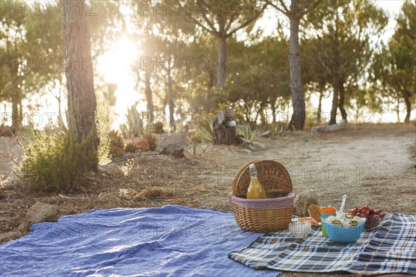 Picnic under trees