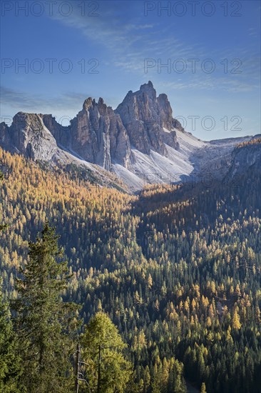 Pine trees and mountain in the Dolomites, South Tyrol, Italy