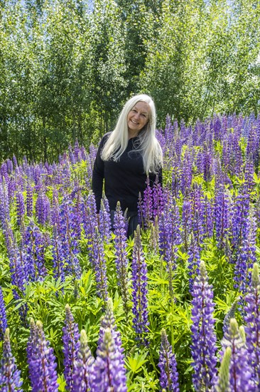 Woman in lupine field in Sun Valley, Idaho, USA