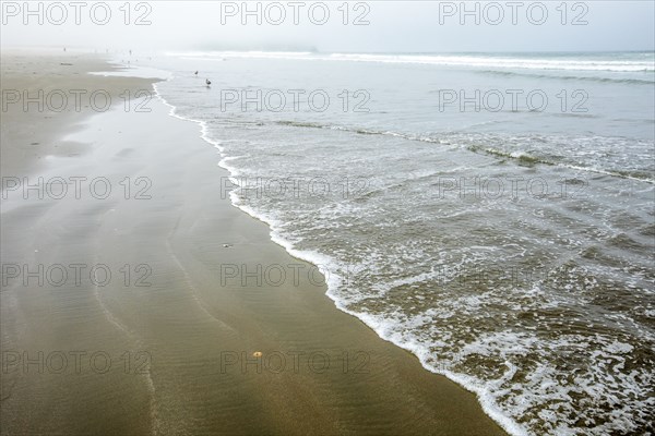 Beach in Morro Bay, California, USA