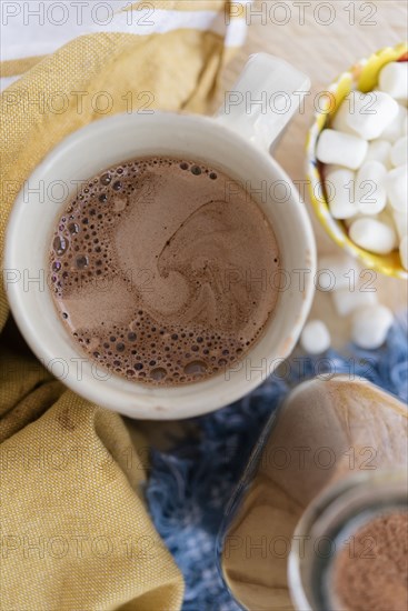 View directly above hot chocolate and marshmallows