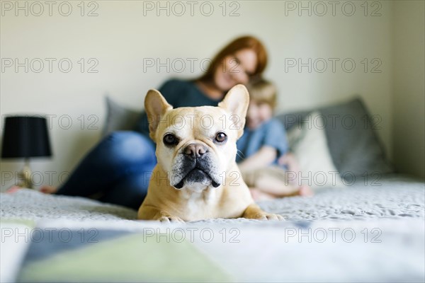 Dog lying on bed in front of mother and son