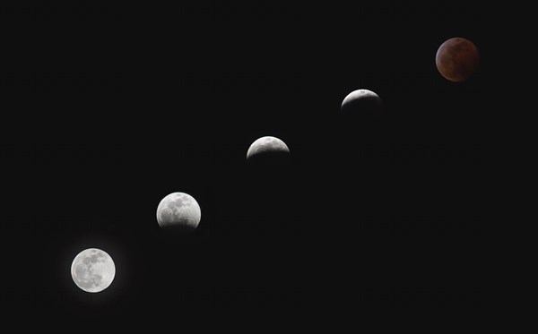 Composite image of lunar cycle