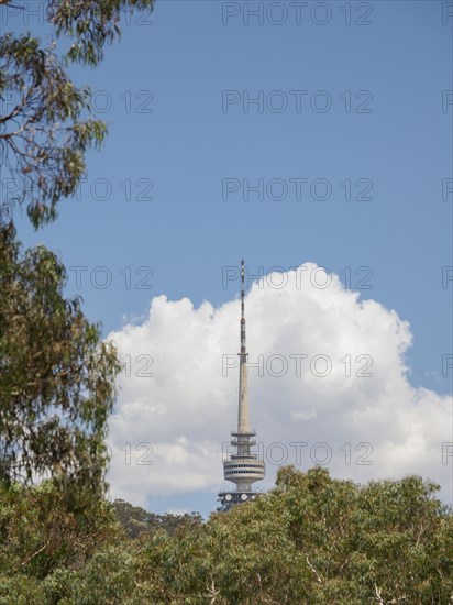 Telstra Tower behind trees in Canberra, Australia