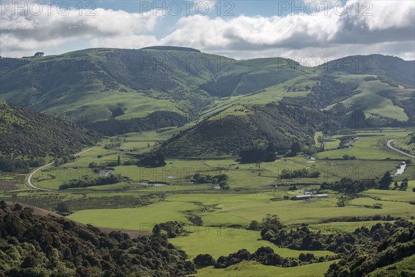 Rural landscape in Tawanui, New Zealand