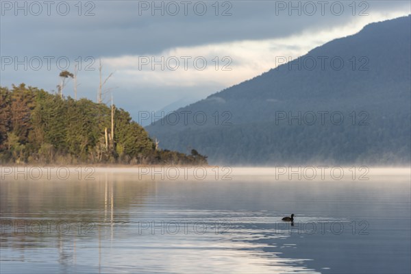 Sunrise on Te Anau Lake, New Zealand