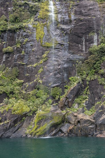 Waterfall in Milford Sound, New Zealand