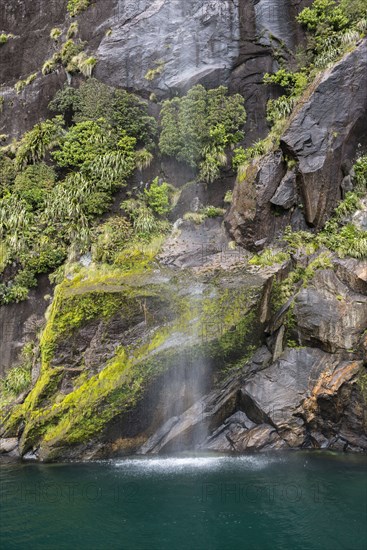 Waterfall in Milford Sound, New Zealand