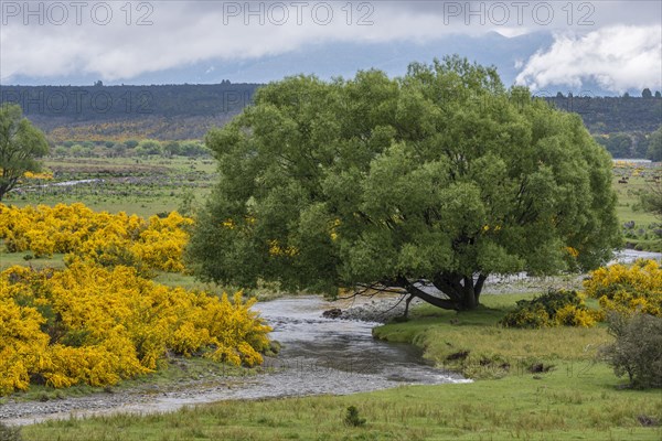 Eglinton River through Te Anau Downs, New Zealand