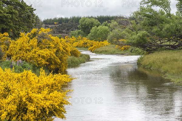 Eglinton River through Te Anau Downs, New Zealand