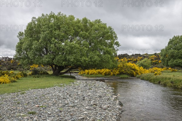 Eglinton River through Te Anau Downs, New Zealand