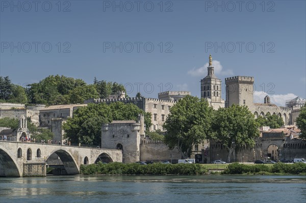 Pont d'Avignon over Rhone river in Avignon, France