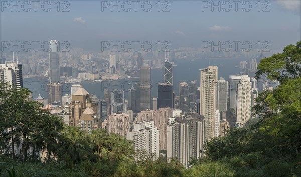 Cityscape behind trees in Hong Kong, China