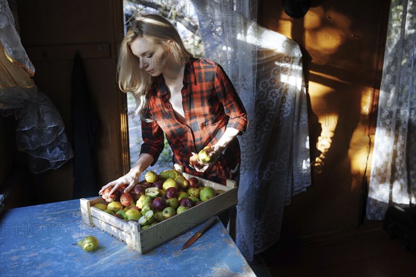 Woman sorting crate of apples on table