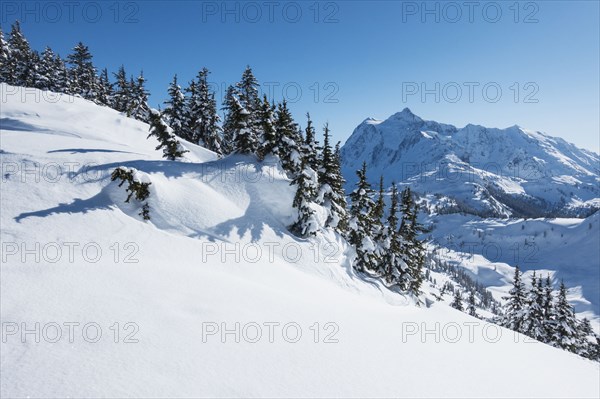 Mount Baker Ski Area in Washington State, USA