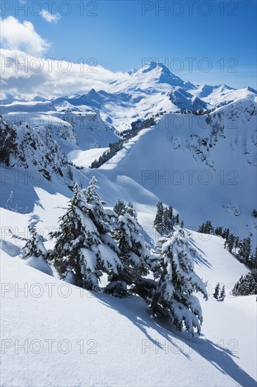 Mount Baker Ski Area in Washington State, USA