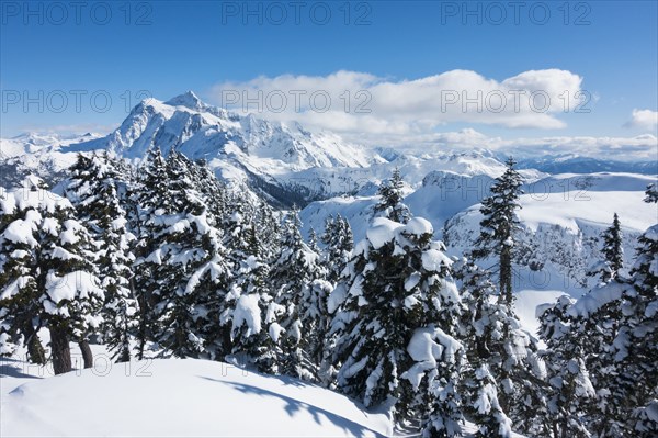 Mount Baker Ski Area in Washington State, USA