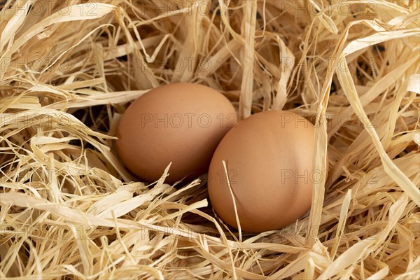 Eggs on straw