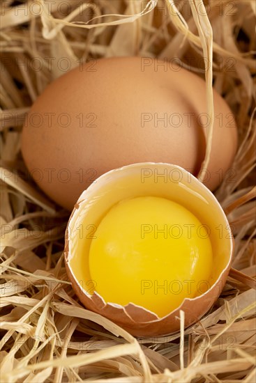 Cracked egg on straw