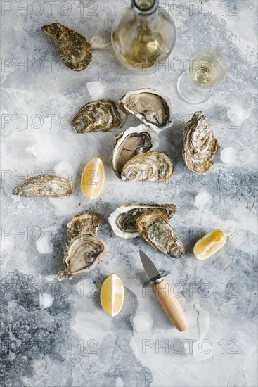Raw oysters with lemon and champagne