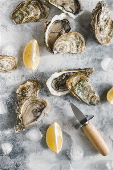 Raw oysters with lemon