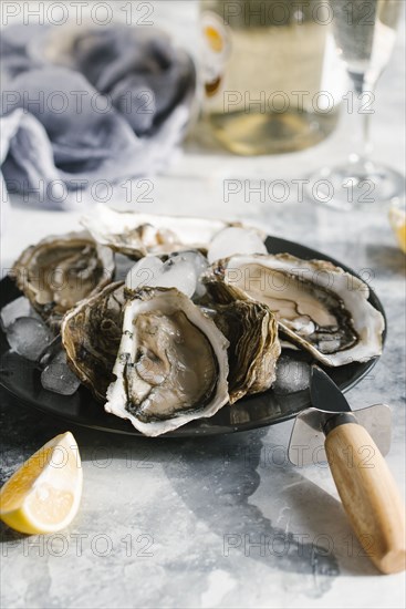 Plate of oysters with lemon