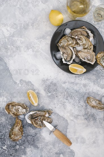 Plate of oysters with lemon