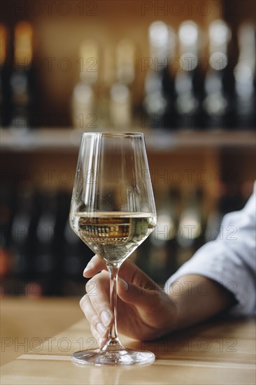 Woman's hand holding glass of white wine