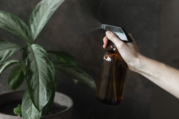 Woman's hand spraying potted plant