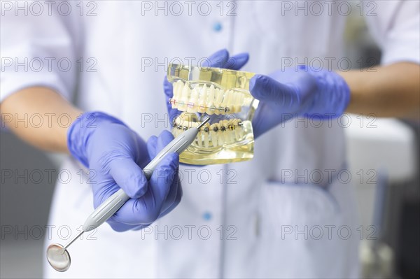 Dental assistant holding model teeth with braces