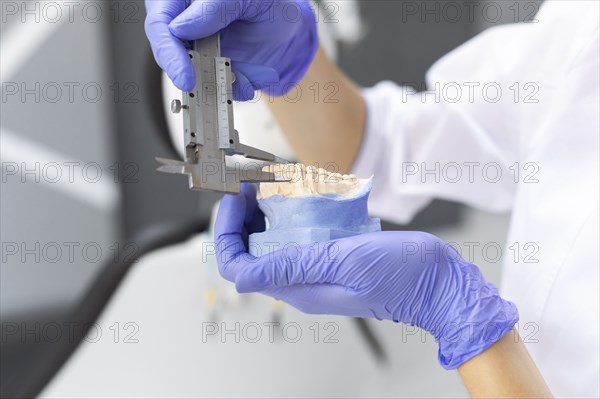 Dental assistant measuring model teeth