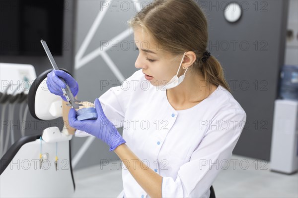 Dental assistant measuring model teeth