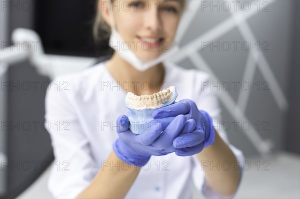 Dental assistant holding model teeth