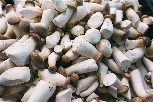 Pile of king oyster mushrooms