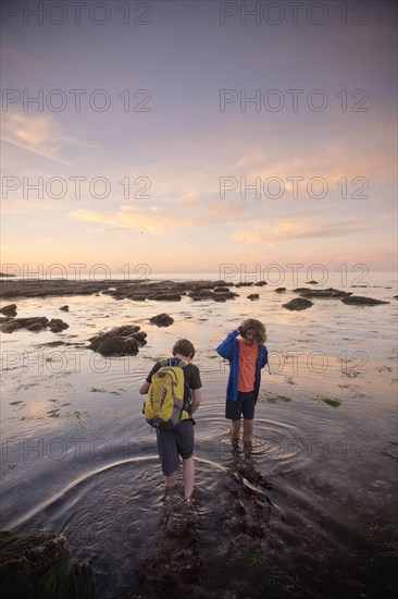 Teenage boys exploring tide pools in La Jolla, California