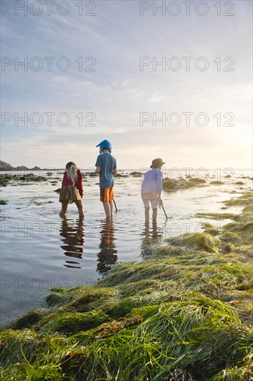 Children exploring tide pools in La Jolla, California