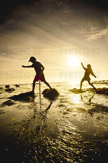 Children exploring tide pools in La Jolla, California