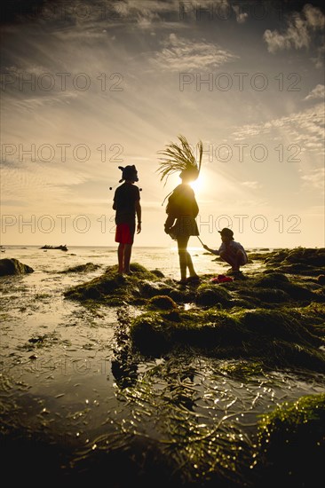 Children exploring tide pools in La Jolla, California