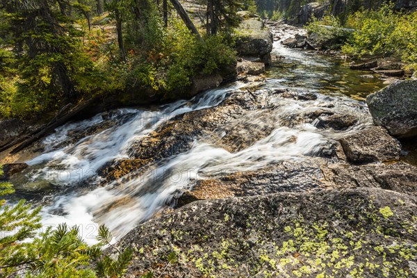 Long exposure of flowing stream in Stanley, Idaho
